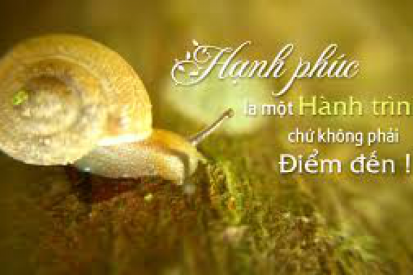 Ðâu Là Hạnh Phúc Ðích Thực
