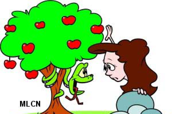 Câu chuyện thứ 03 - LỰA CHỌN SAI LẦM